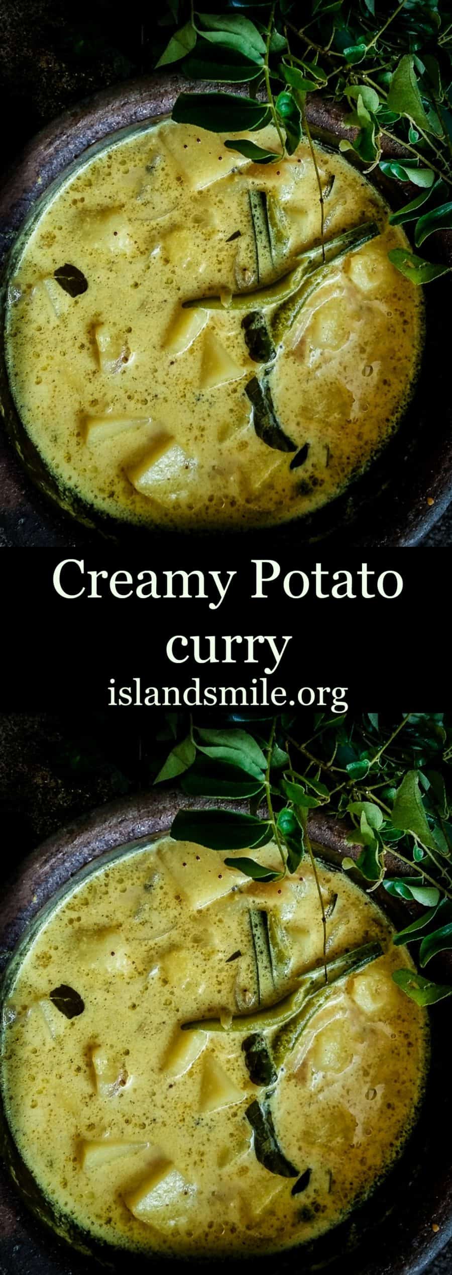 creamy potato curry image