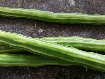 find recipe at www.islandsmile.org. srilankan drumstick curry