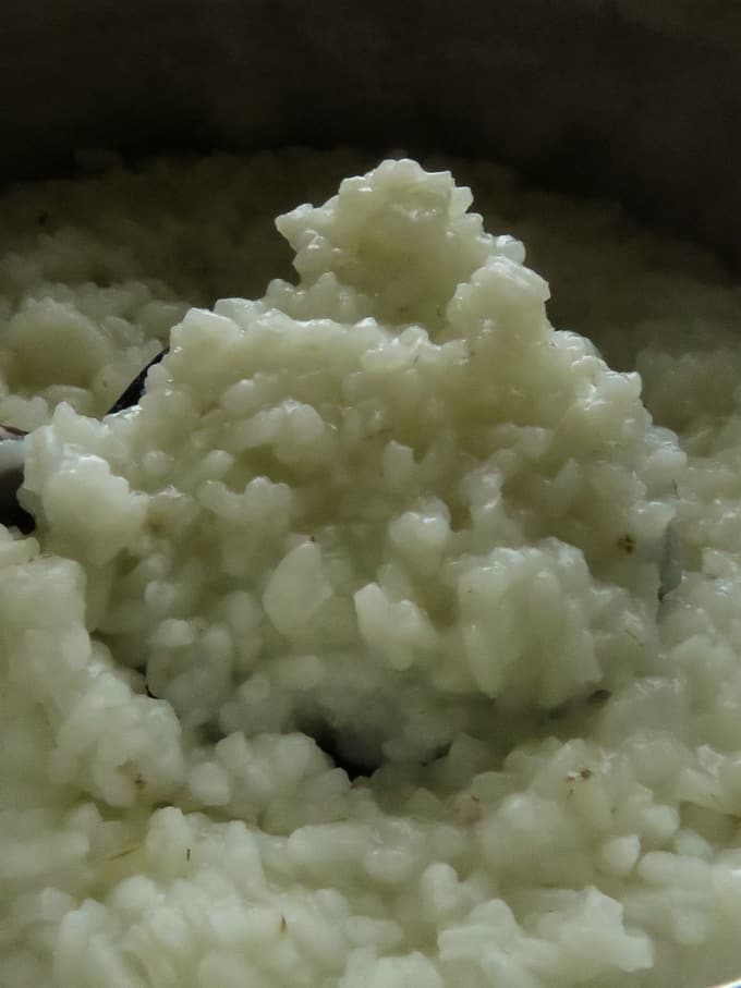 milk rice cooked in water until mushy.