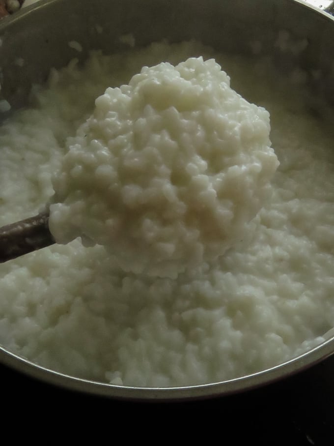 cooked rice in coconut milk to make milk rice