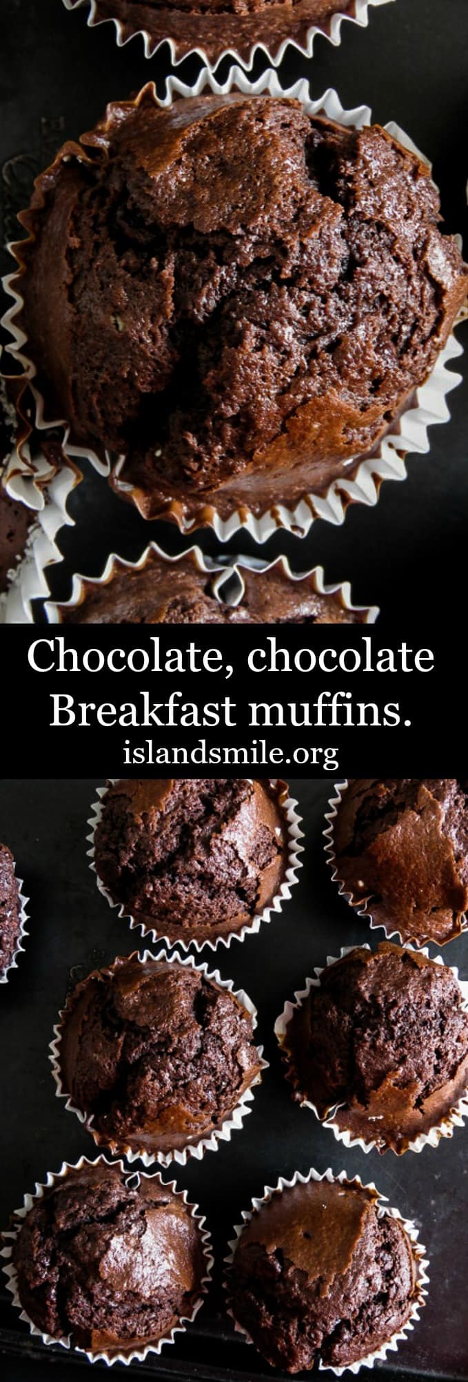 Chocolate,chocolate Breakfast muffins are airy and a chocolate lover's dream of what Breakfast should look like. Dark, moist and oozing with their favorite ingredient.