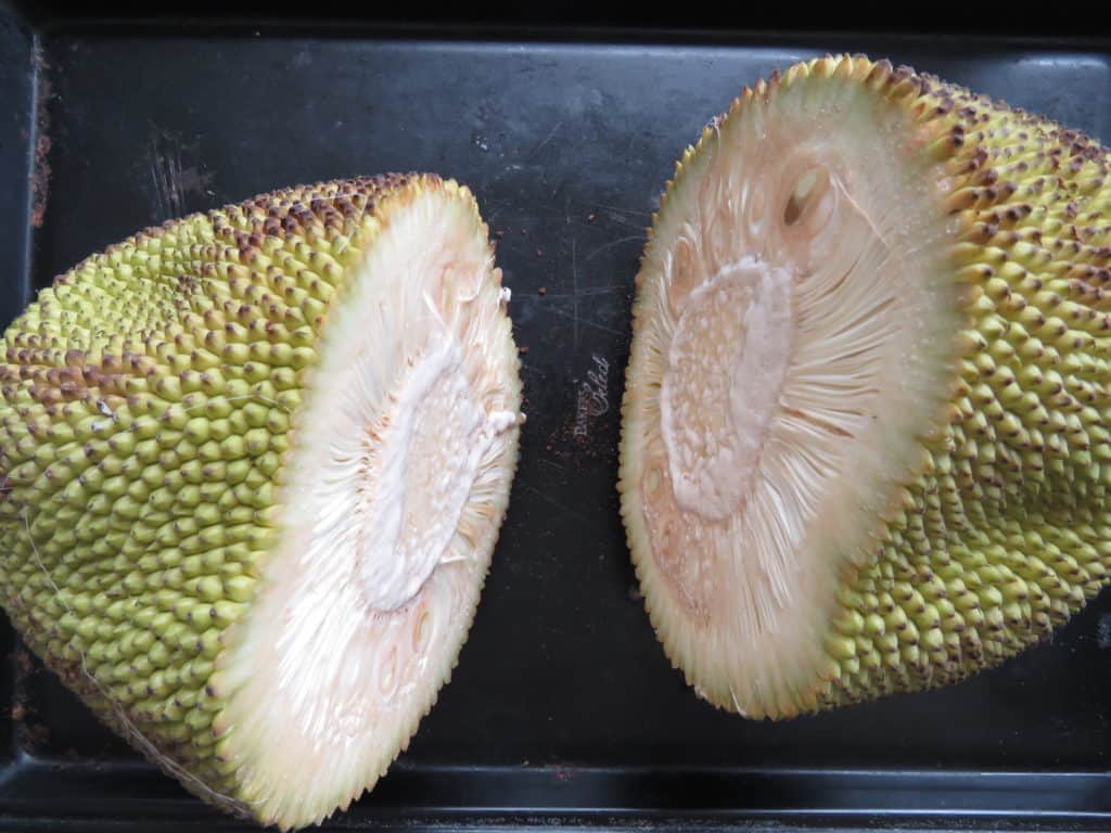 a baby jackfruit cut into two and placed on a tray.