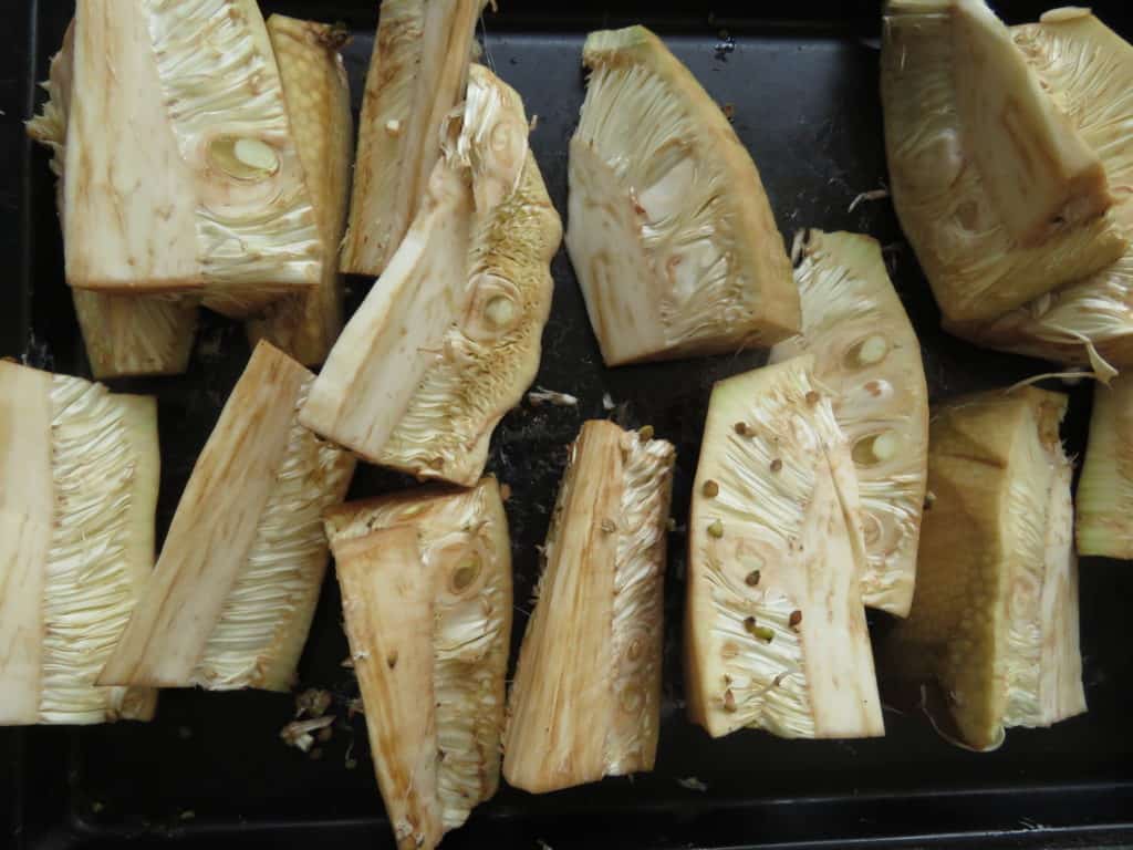 baby jackfruit cut into smaller pieces to make the polos curry.