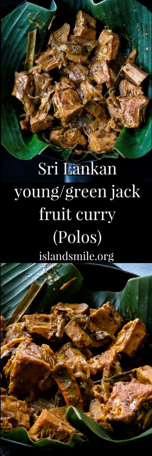 Sri Lankan-vegan young/green jackfruit curry. 