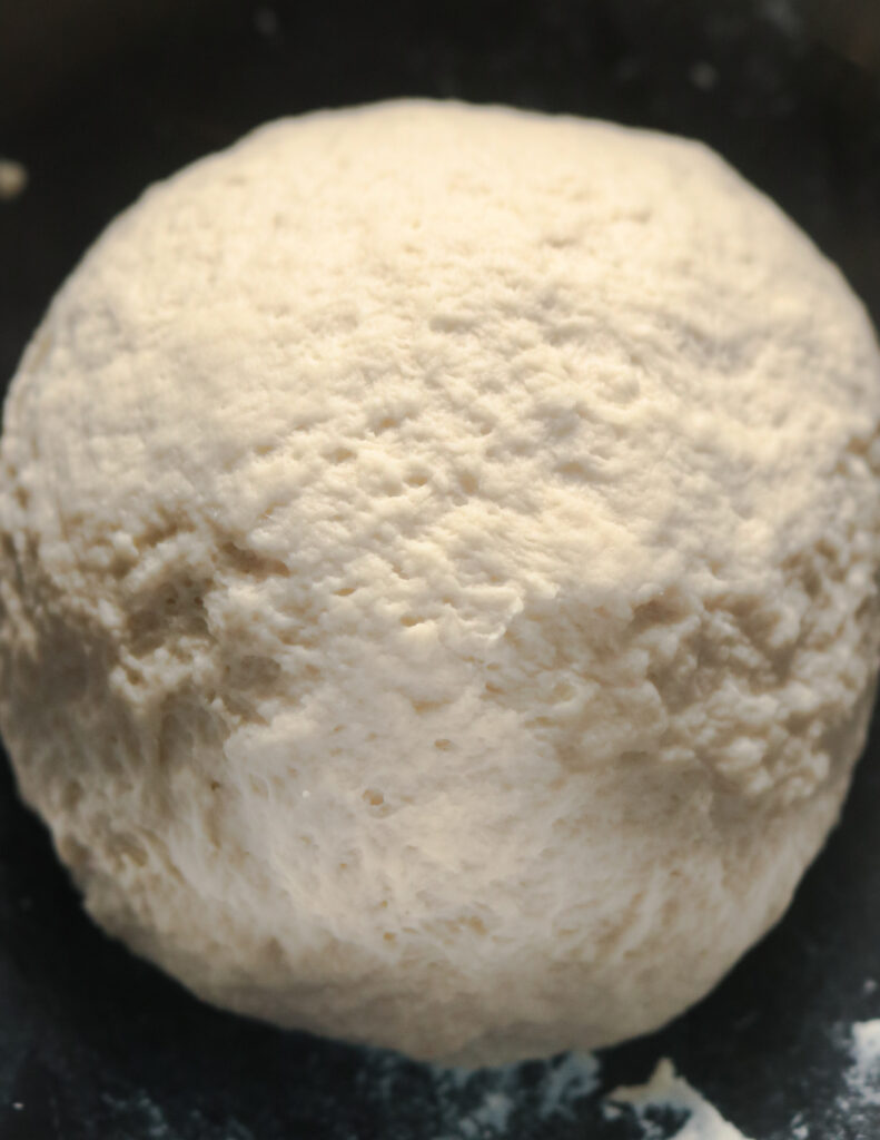 paratha/godamba roti dough kneaded to make a firm ball