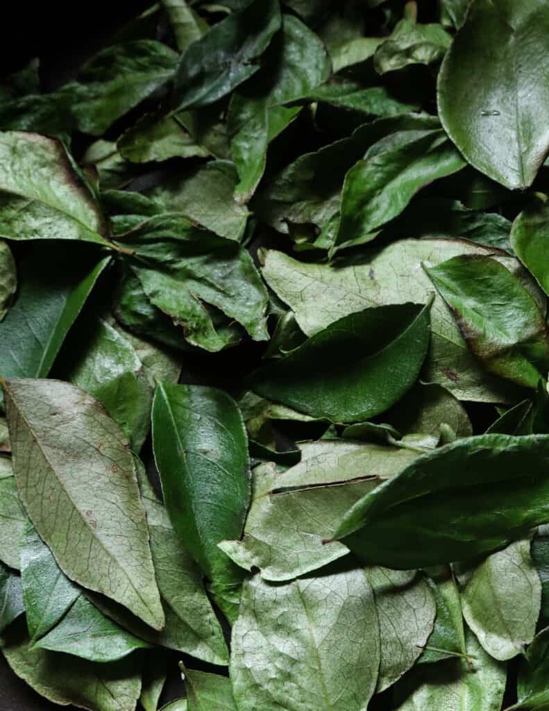 dry roasting curry leaves to make the jaffna curry powder.