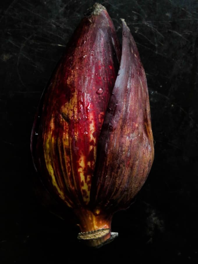 image of a banana flower