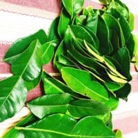 Fresh Kaffir Lime Leaves ( Thai Lime Leaves) 2 Oz.