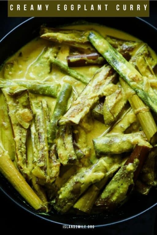 SRI LANKAN EGGPLANT CURRY(brinjal curry with coconut milk) ISLAND SMILE