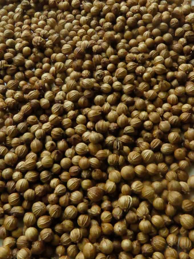 dried coriander seeds on a plate.