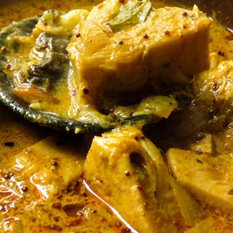 Jackfruit curry(Sri Lankan polos curry)with coconut milk gravy.