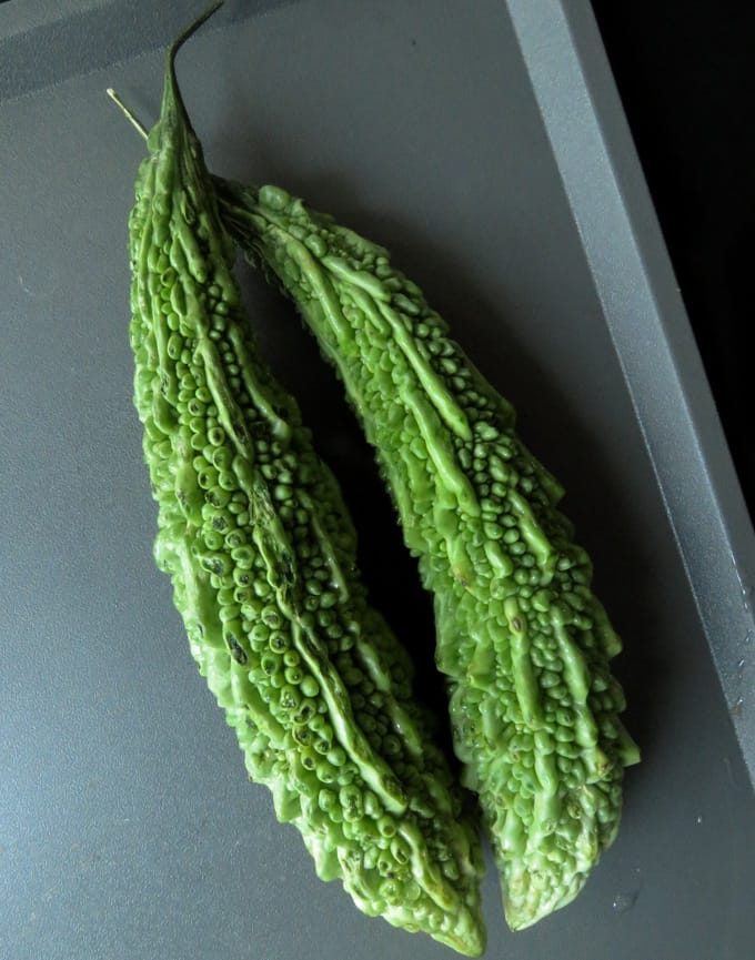 picture of bitter gourd/bitter melons. picture of bitter gourd/bitter melons.
