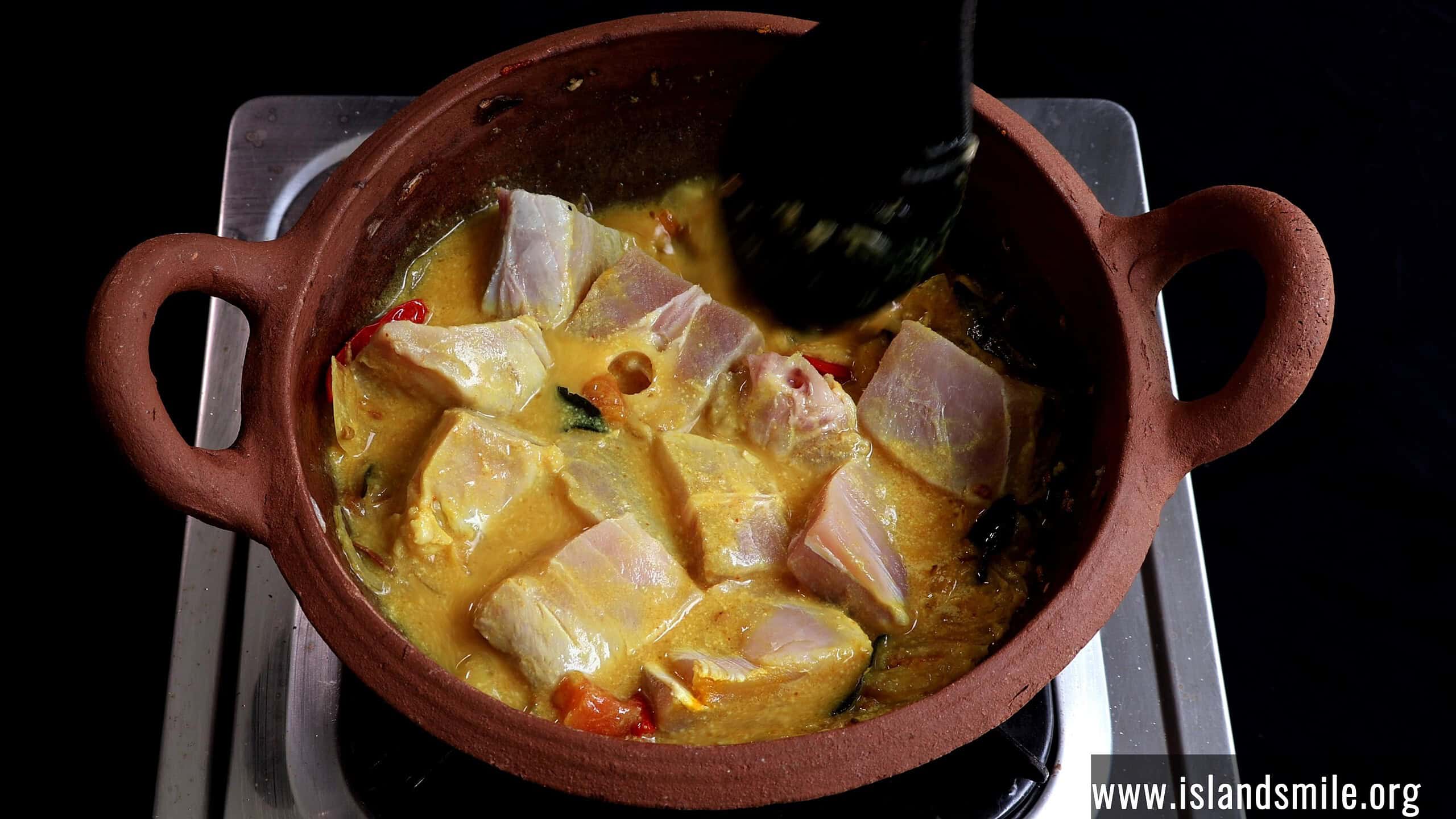 adding the fish chunks to  make the creamy white fish curry.