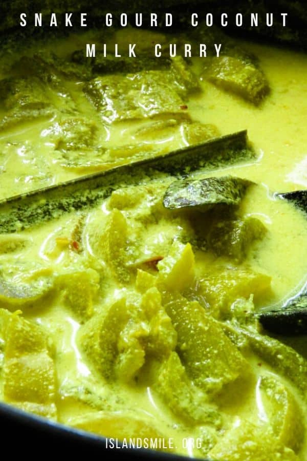 snake gourd coconut milk curry, a vegan and vegetarian coconut milk curry for all your rice and curry menu.