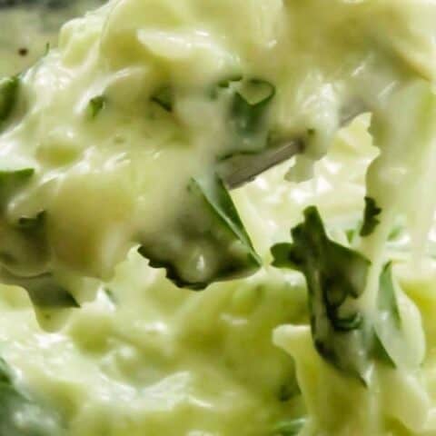 cucumber raita(Indian yogurt dipping sauce)