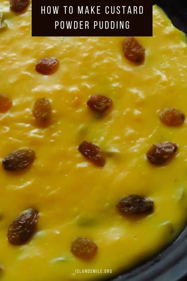 set custard pudding plated and garnished with raisins