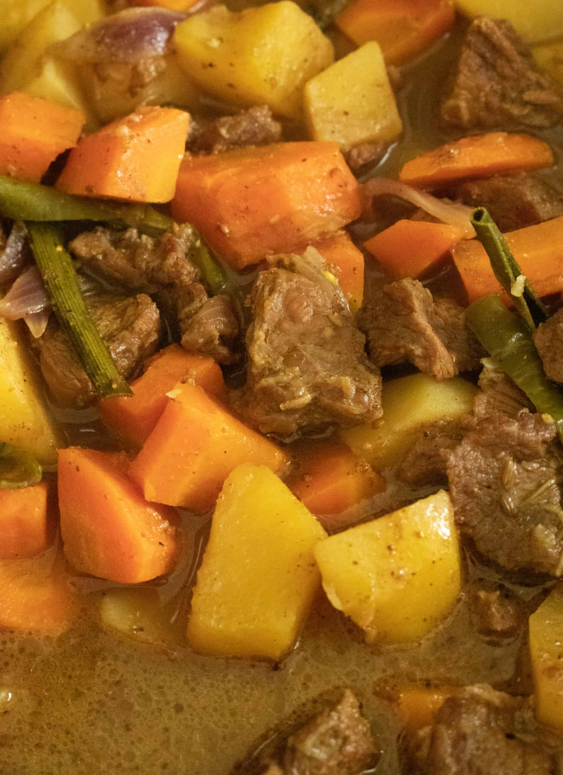 coconut curry beef stew with carrots and potatoes. ISLAND SMILE