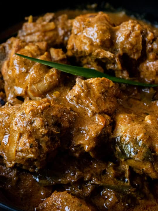 close up of a chicken curry in a bowl