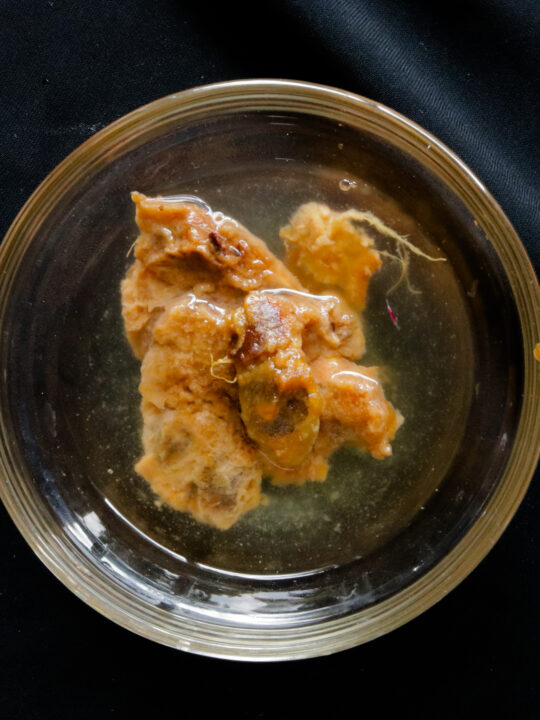 tamarind pods with seed soaking in water