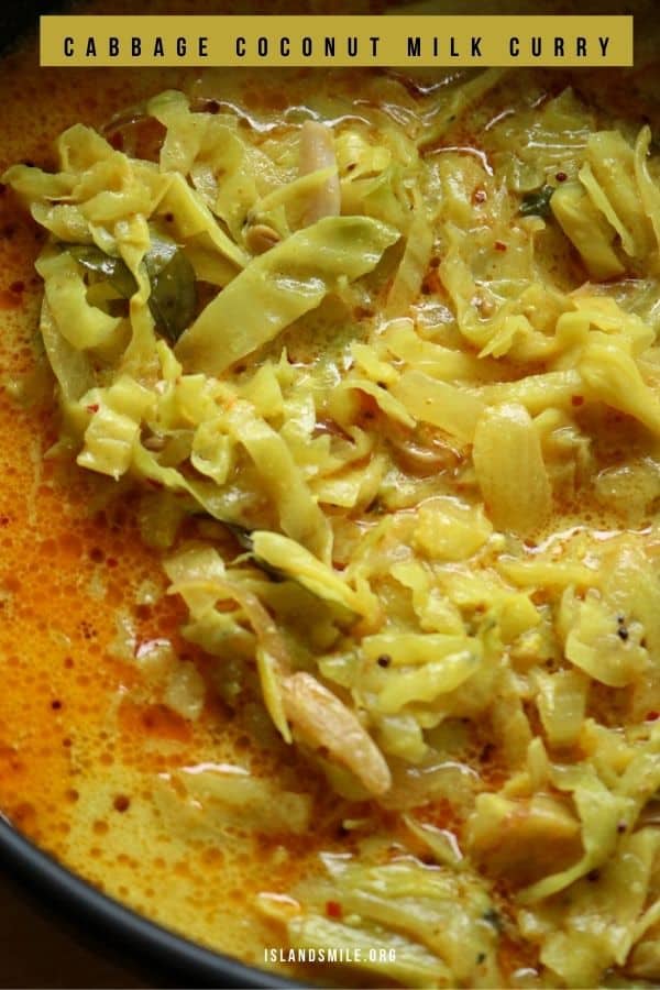 sliced cabbage curry with coconut milk served in a black bowl.