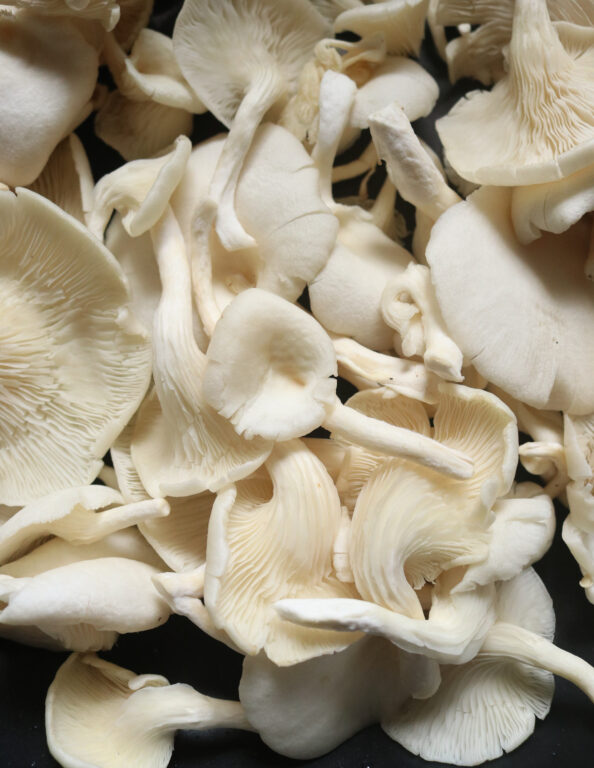 OYSTER MUSHROOM IN GARLIC BUTTER SAUCE ISLAND SMILE