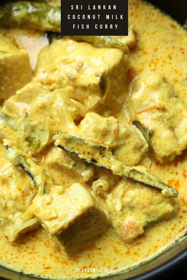 creamy coconut milk fish curry with cinnamon and spices